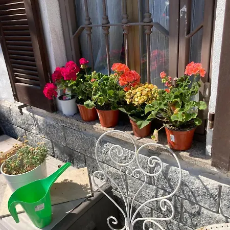 + Saronno